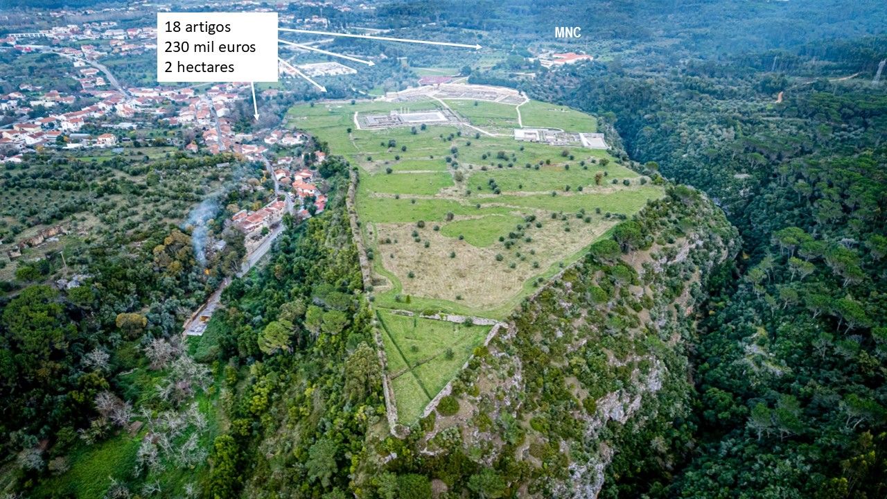 MNC_Campo_Arqueológico_em_Progresso.jpg